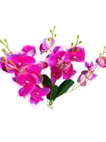 زهرة اوركيد صغير 5 افرع