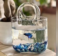 فازه زجاج حقيبة زجاج بيد زجاجي - حوض سمك