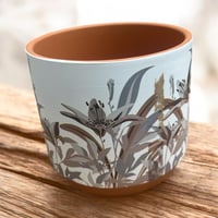 فازات مركن سراميك داخلي بني اشكال