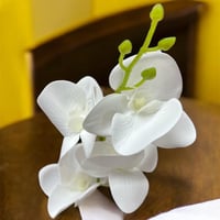 زهرة اوركيد صغير 5 افرع