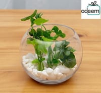 فازة دائري شفاف ثلاث مقاسات