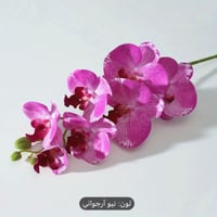 زهرة الأوركيد ملمس طبيعي