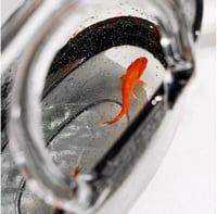 فازه زجاج حقيبة زجاج بيد زجاجي - حوض سمك