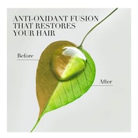 شامبو شعر نعومه بزيت مورينغا الذهبي بيو رنيو من هي...