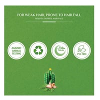 شامبو شعر حماية من التساقط بالصبار والجرجير من فات...