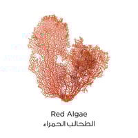 غسول مقشر بالطين النقي بالطحالب الحمراء من لوريال...