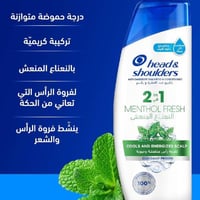 شامبو وبلسم الشعر النعناع المنعش 2في 1 من هيد اند...