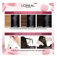 كريم صبغة الشعر اكس لانس اسود من لوريال - 1