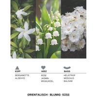 لوشن اليدين و الجسم بالمسك من بتينا بارتي - 500مل