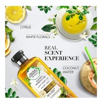 شامبو شعر نعومه بزيت مورينغا الذهبي بيو رنيو من هي...