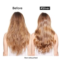 شامبو شعر سلفر من لوريال بروفيشنال - 300مل