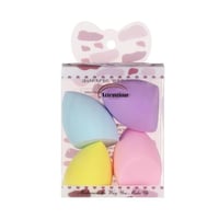 اسفنجة مكياج طقم 4 في 1 للاستخدام اليومي من اتنشن...