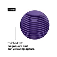 شامبو شعر سلفر من لوريال بروفيشنال - 300مل