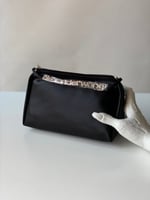 حقيبة أليكساندر وانغ