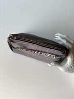 حقيبة أليكساندر وانغ