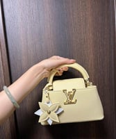 حقيبة ميني كابوسين لويس فيتون 21سم لون بيج ذهبي