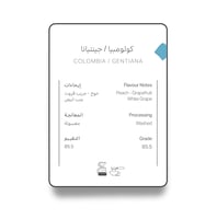 كولومبيا جينتيانا - اش | Gentiana