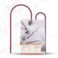 اثيوبيا بيلويا - عمق | Biloya