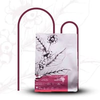 اثيوبيا همبيلا - عمق | Hambela