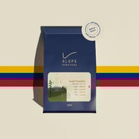 كولومبيا كلوديا تخمير - سلوب | Claudia