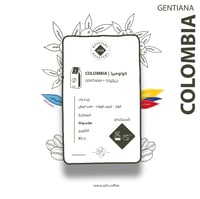 كولومبيا جينتيانا - اش | Gentiana