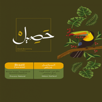 برازيل كاسكفال - حصيل | Cascavel