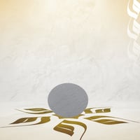 فلتر كيكة الاسبريسو - مقاسات متعددة | Puck Screen