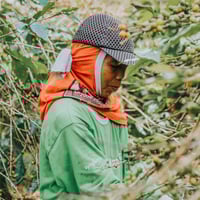 اثيوبيا شلشلي - جيشا | Chelchele