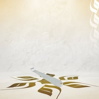 مفك باسكت وقروب هيد | Portafilter basket remover