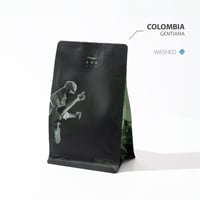 كولومبيا جينتيانا - اش | Gentiana