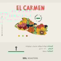 سلفادور ال كارمن - سويل | El Carmen