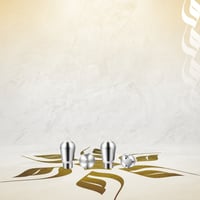 رأس تبخير 4 او 3 فتحات لمكائن بريفيل و سيج