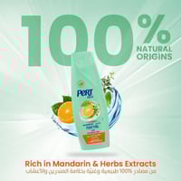 شامبو برت بلس بخلاصة المندرين - 600 مل