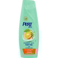 برت بلاس شامبو نقاء بخلاصة الماندرين للشعر الدهني...