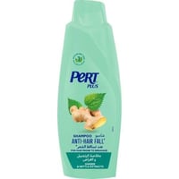 شامبو برت بلس بخلاصة الزنجبيل - 600 مل