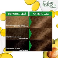 غارنييه صبغة شعر دائمة مغذية للشعر أشقر رمادي غامق...