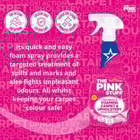 ذا بينك ستاف بخاخ سائل مزيل البقع الرغوي للسجاد وا...