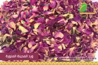 ورد المدينة