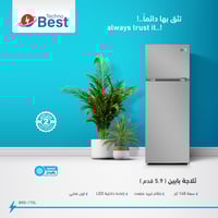 ثلاجة بابين تكنو بيست 5.9 قدم مكعب 168 لتر لون فضي...