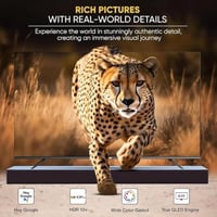 شاشة نيكاي 75 بوصة- QLED ويبوس - NIK75MEU4QLED