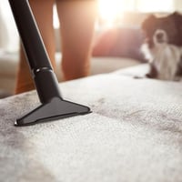 مكنسة فيليبس بدون كيس 1.6Lأسود ومرجاني1200 واط XB1...