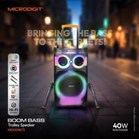 مكبر صوت محمول 40 واط مع 2مكرفون للاداء المسرحي