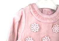 بربتوز مواليد شتوي