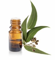 زيت السدر الطبيعي - نضارة وشباب مذهلة 100 مل