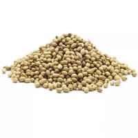 كزبره - كزبرة سورية ممتازة