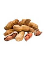 فول سوداني بالقشرة - فول سوداني طبيعي