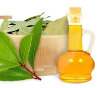 زيت الغار الطبيعي 100 مل - عصره نقي