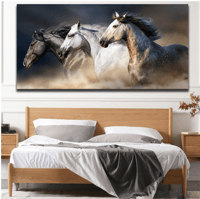 صورة للخيول العربية بدون إطار