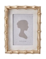 إطار صور Carina