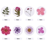 ورد مجفف مجموعة رقم 6